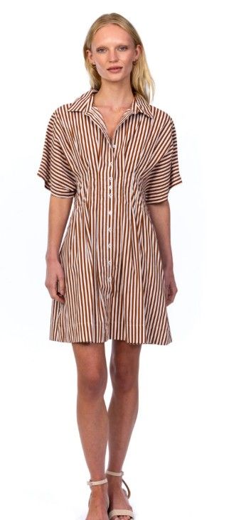 Tolani Holden Dress in Cocoa