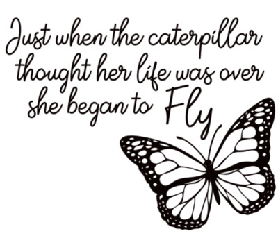 Just When the Caterpillar thought her life was over, She began to Fly
