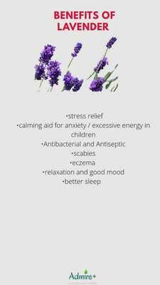 Admire Lavendar Bar