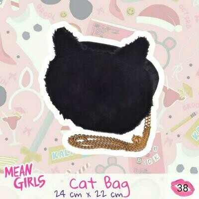 38- CAT BAG