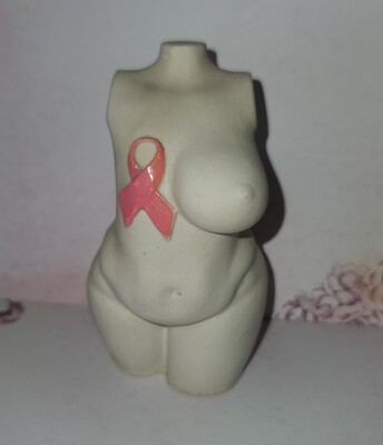 Breast Cancer warrior
