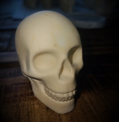 Decorative Skull-Cream