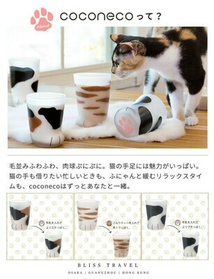 日本製貓貓親子杯