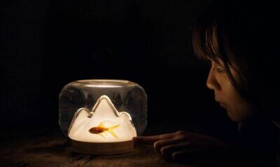 魚缸暖山小夜燈  | 金魚鉢 デスクライト