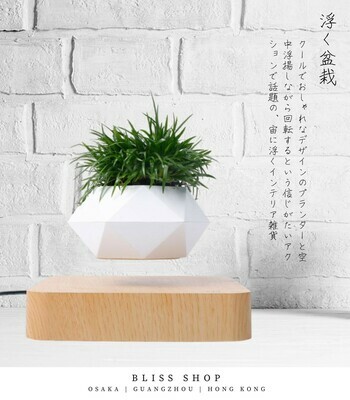 懸浮盆栽 | 浮く 盆栽 (海外版)