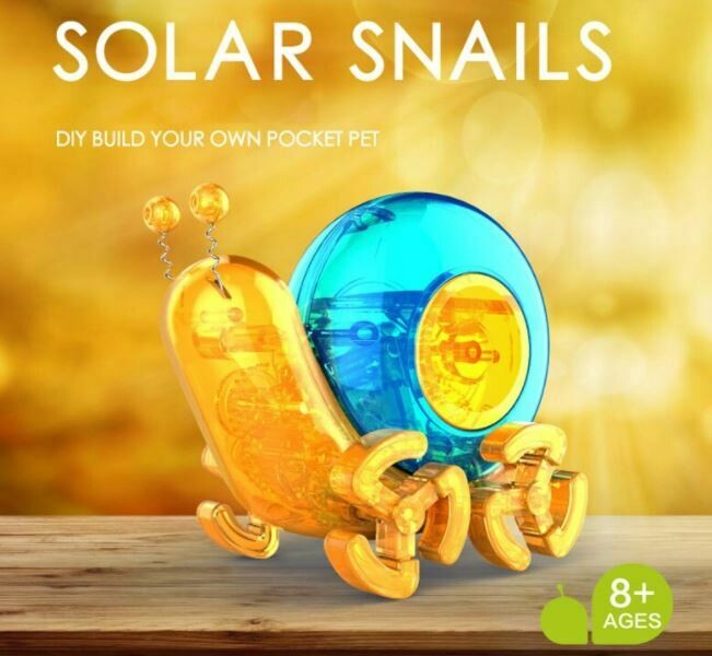 Robot Stem Solar Snail