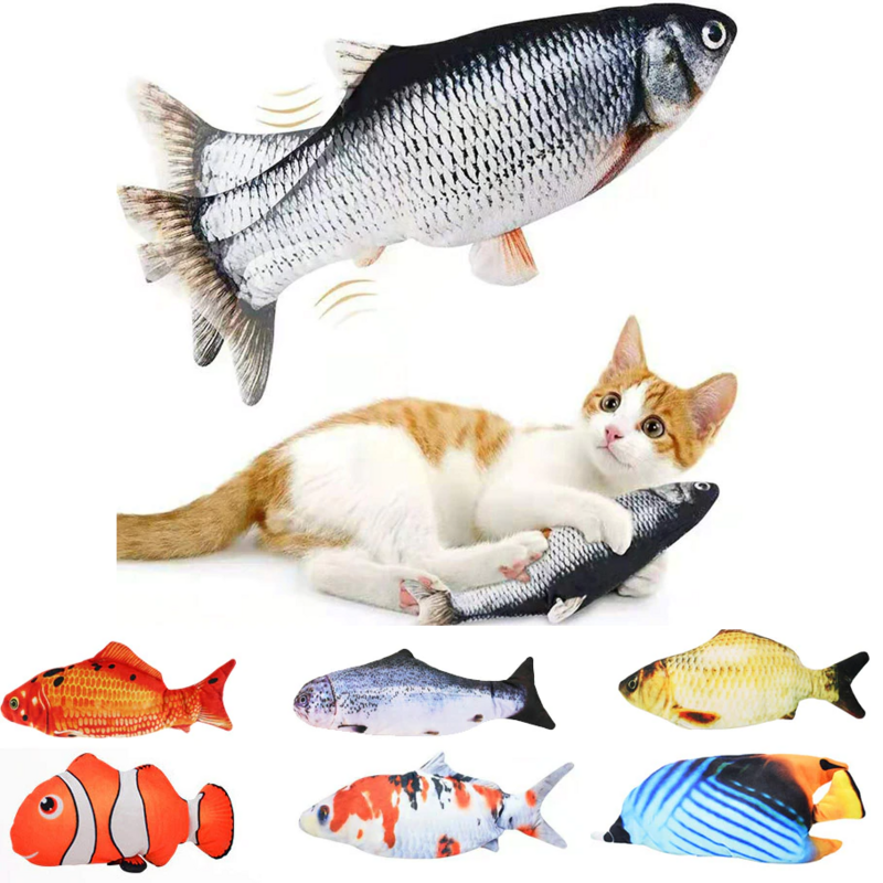 寵物魚 | Electric Fish for Pets