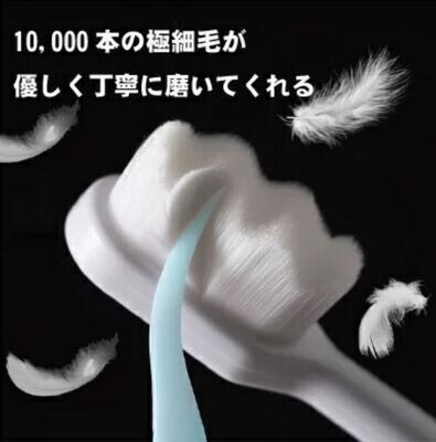日本萬根毛牙刷 | 1万本極細毛歯ブラシ