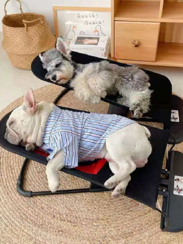 Pet Rocking Chair