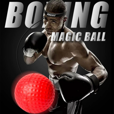Boxing Reflex Ball Set