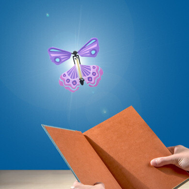 Flying Butterfly Set(10pcs)