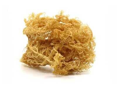 ​Sea moss (Irish moss) (55g)