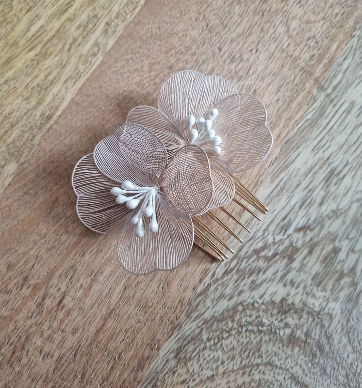 Kamm willow rose Kamm willow rose
