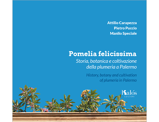 Pomelia felicissima