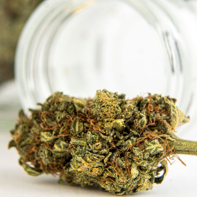 CBD CVET LEMON HAZE 1g 🌿