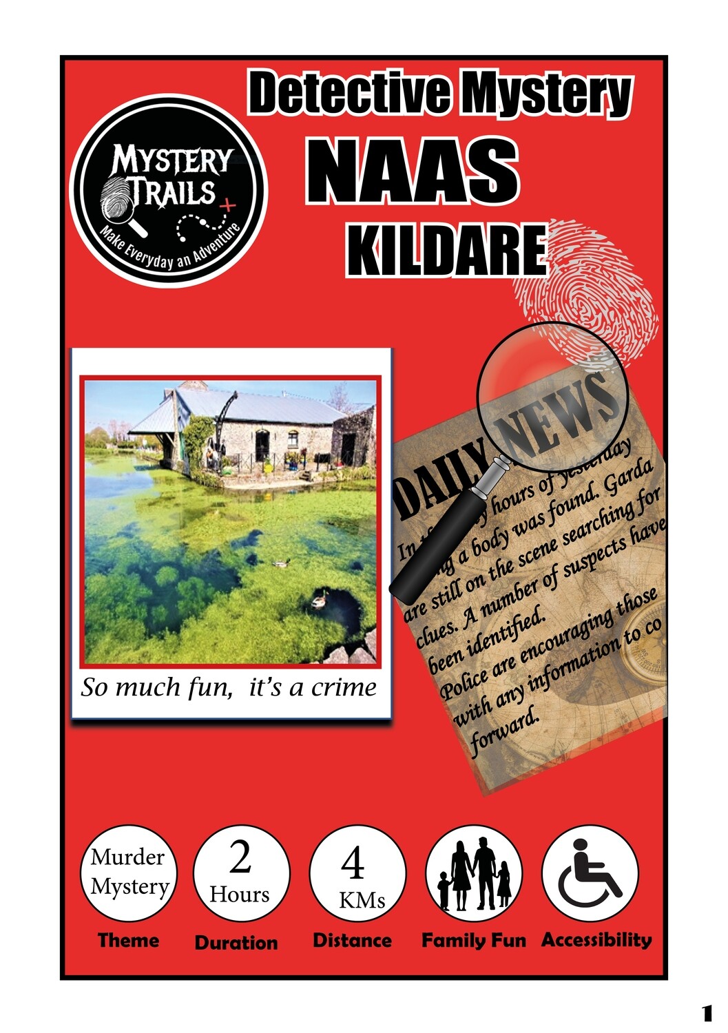 Naas- Detective Mystery - Kildare