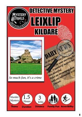 Leixlip - Detective Mystery - County Kildare
