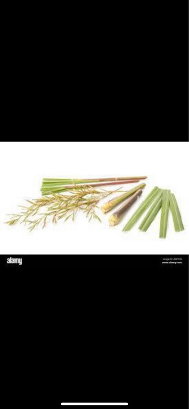 Luxury Wax Melts - Citronella And Lemongrass