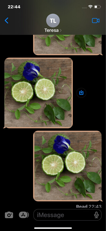 Luxury Wax Melts - Bergamot &amp; Patchouli