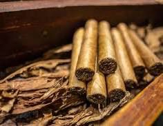 Luxury Wax Melts - Cuban Tobacco &amp; Oak