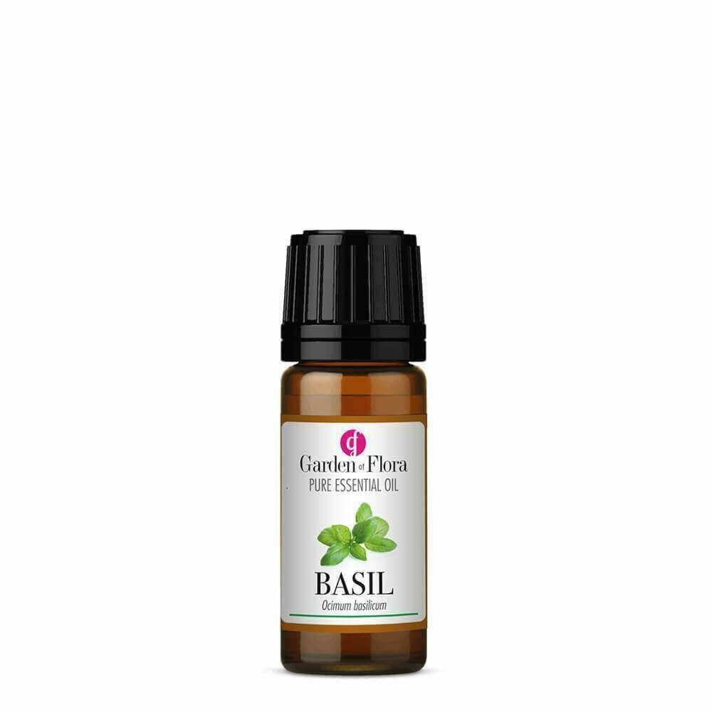 Basil Oil (10ml)