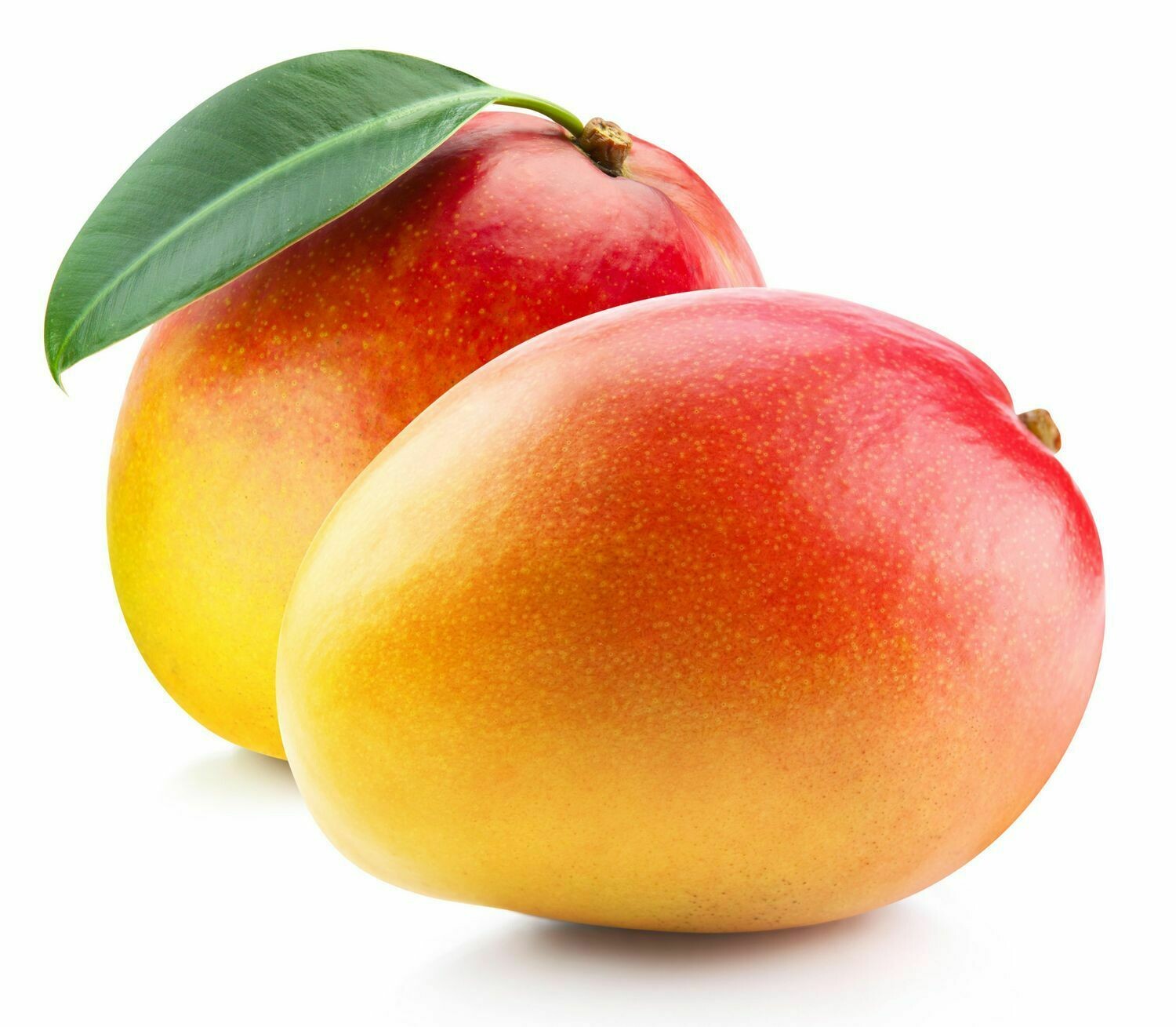 3 x Haden Mango
