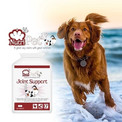 Nutri-Pets Joint Support for Dogs 120 Tablets, 