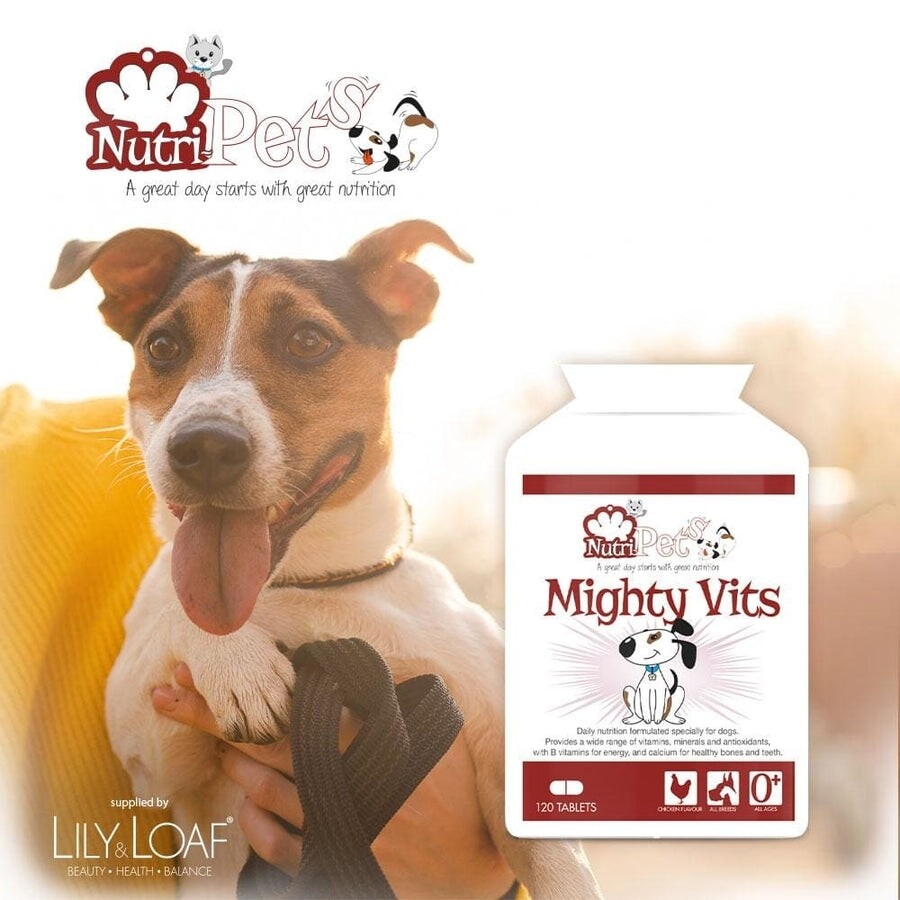 Nutri-Pets Mighty Vits  for Dogs 240 Tablets, 