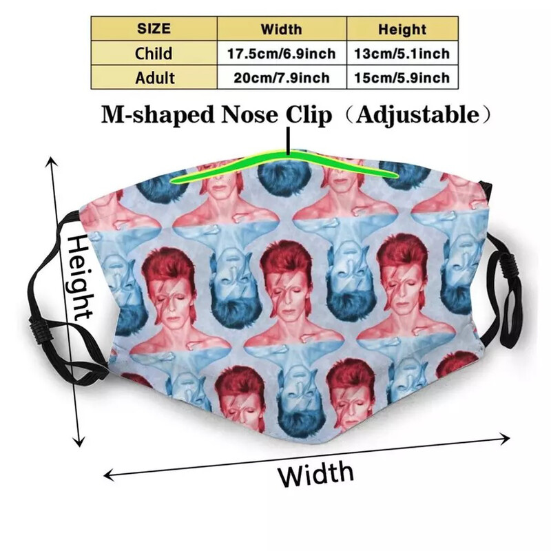 Aladdin Sane Facemask