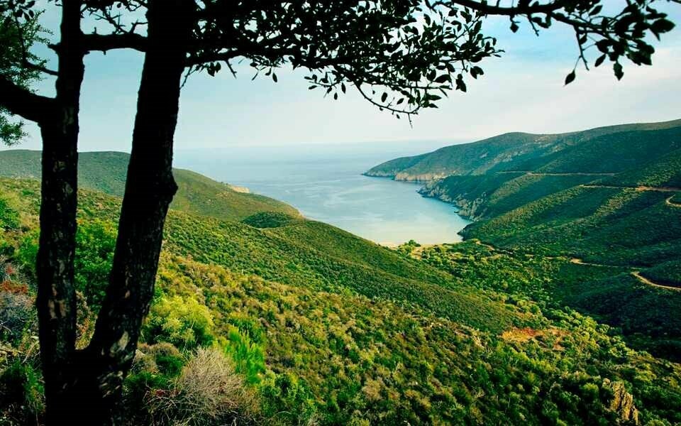 Herbalist Course in Halkidiki, Greece