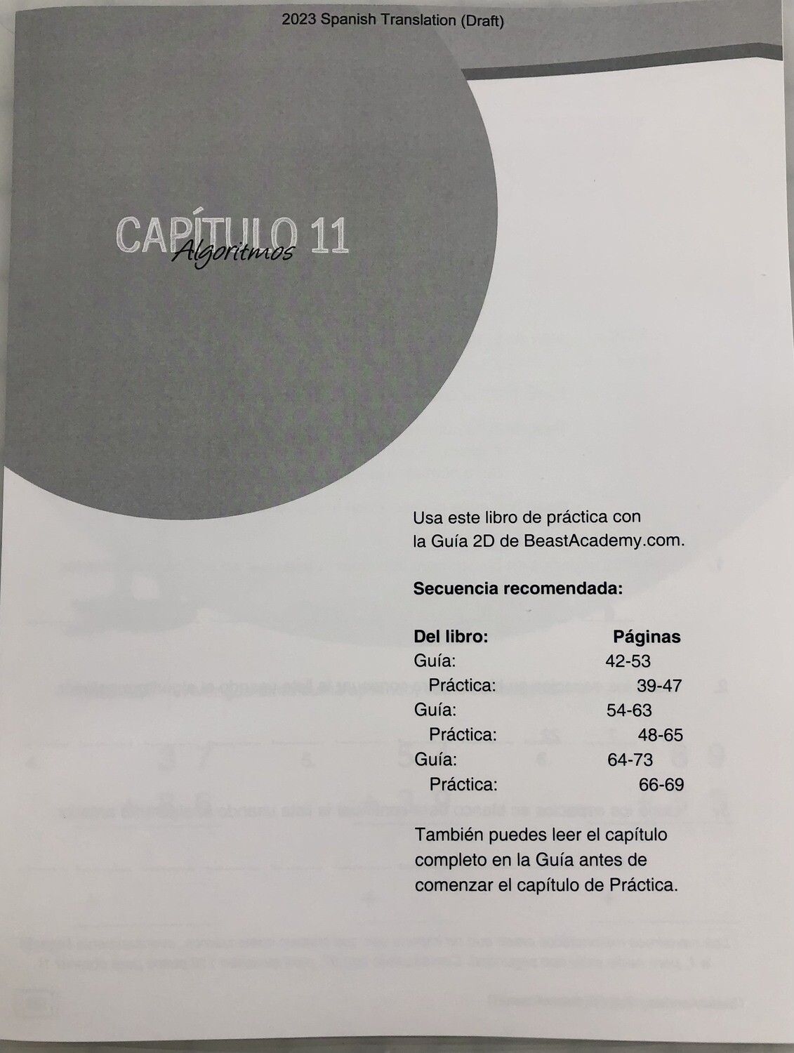 AOPS24 Chapter 11 2D Algorithms PRACTICE Spanish Booklet