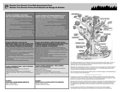 Tree Risk Assessment