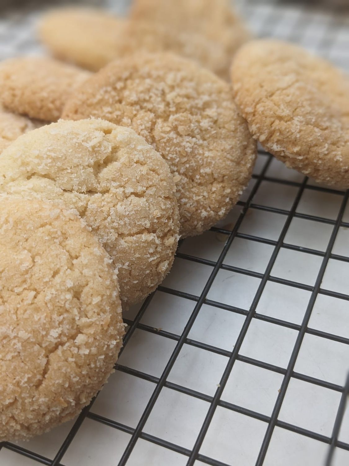 Gourmet Cookies Workshop Date: June 29th, 2025 (Sunday)