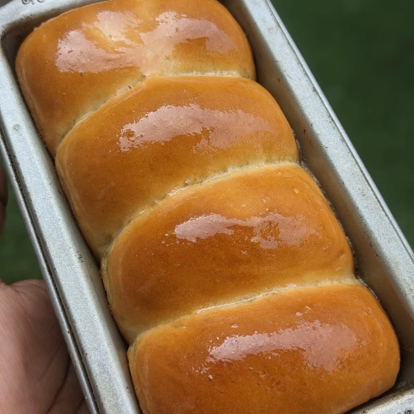 Art of Bread Making Workshop | Date: 24th August, 2025 (Sunday)