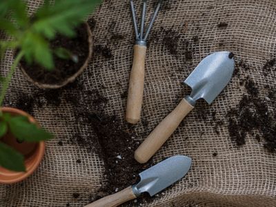 Gardening