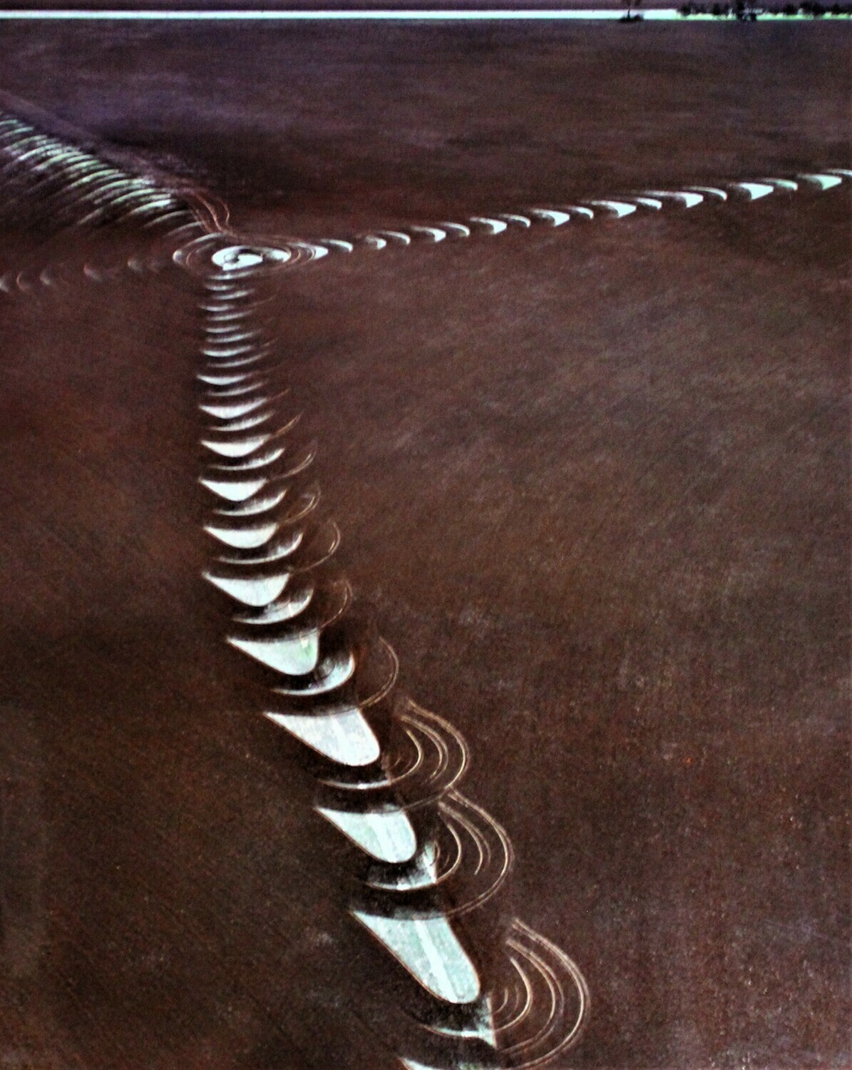 #05 Artist: Richard Woldendorp, &quot;Plough Pattern, Wheatbelt WA&quot;