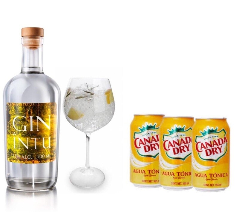 GIN INTU TONIC