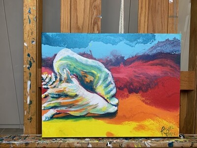Colorful Conch