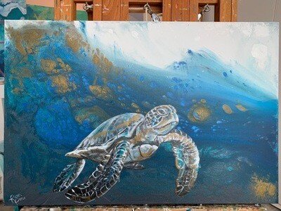 Deep Water Sea Turtle