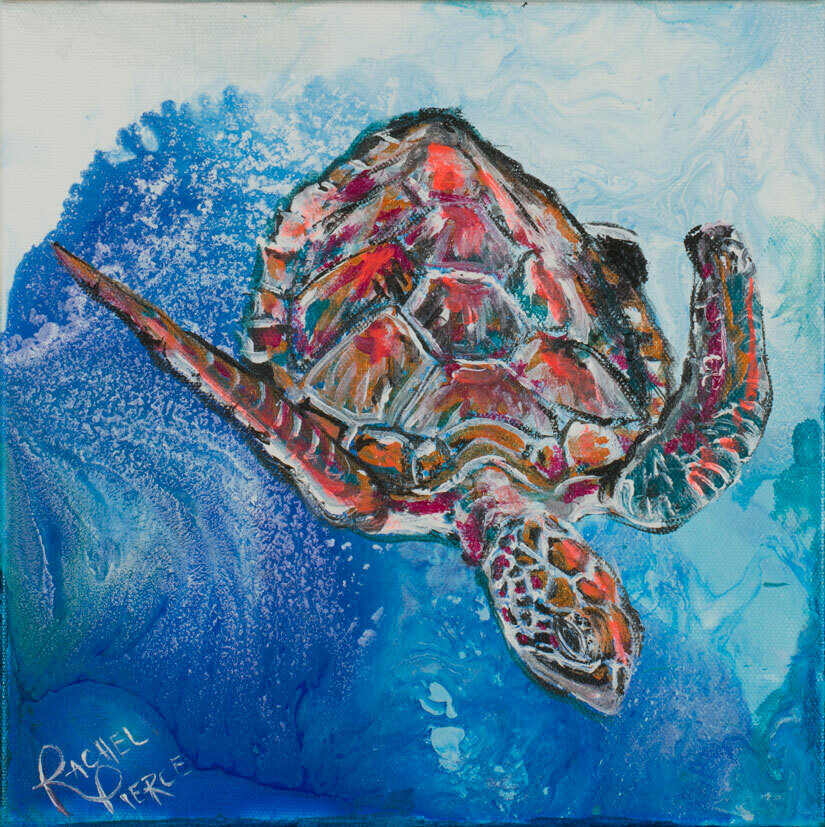 Diving Turtle Print