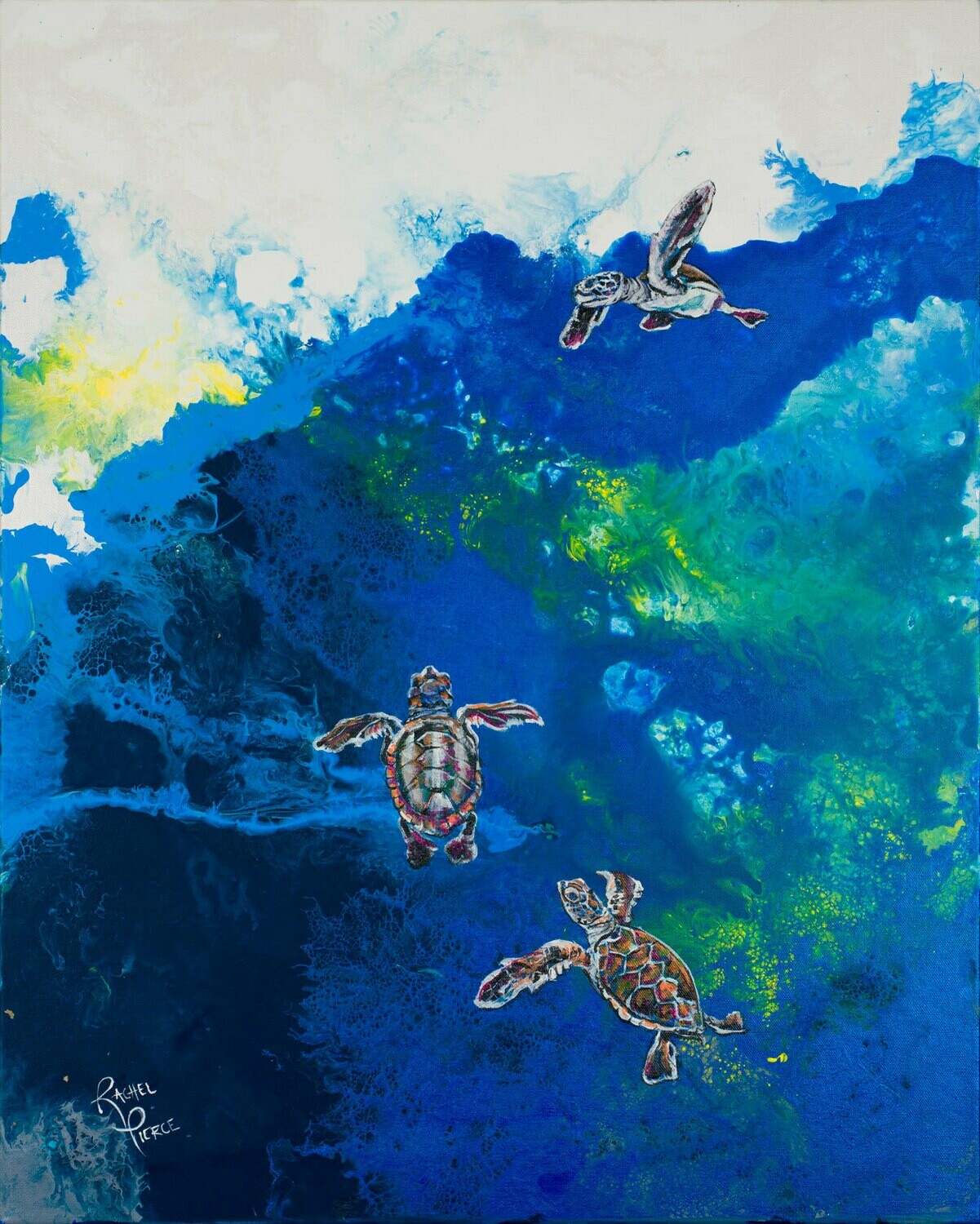 Hatchlings Swimming print