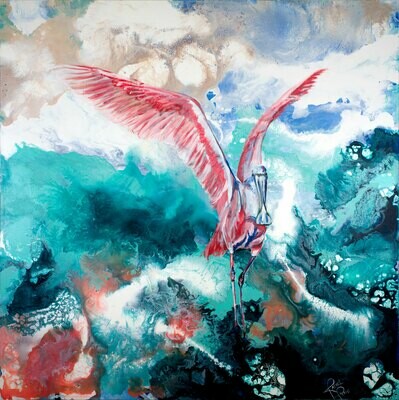 Roseate Spoonbill print
