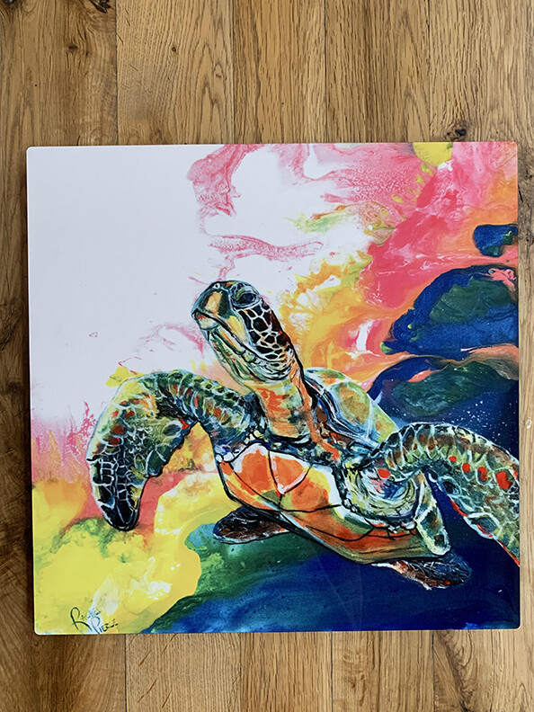 Electric Space Turtle 2 12 x 12 Metal Print