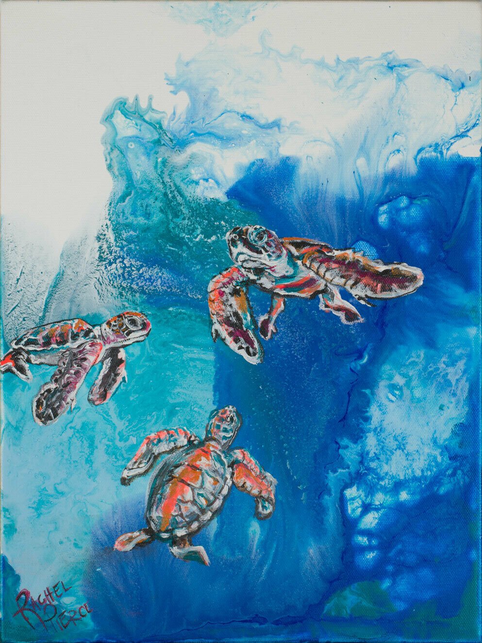 Curious Hatchlings