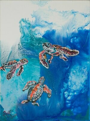 Curious Hatchlings