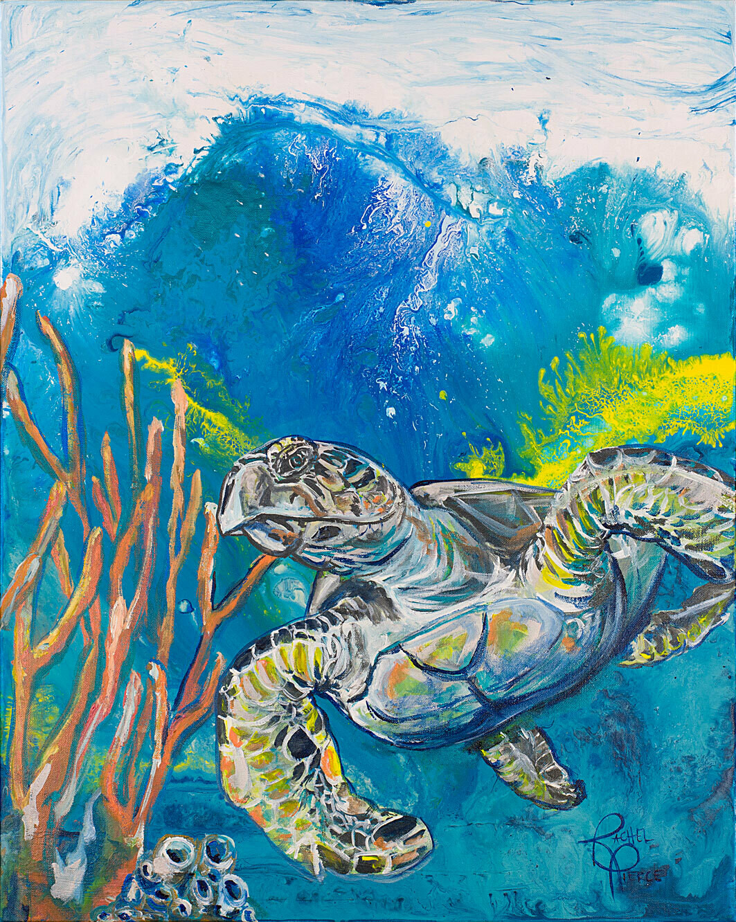 Solo Hawksbill print