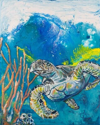 Solo Hawksbill print