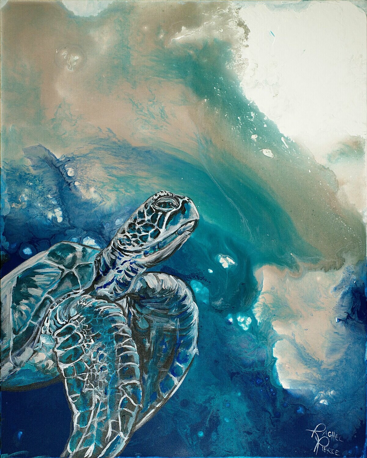 Champagne Sea Turtles 1 &amp; 2