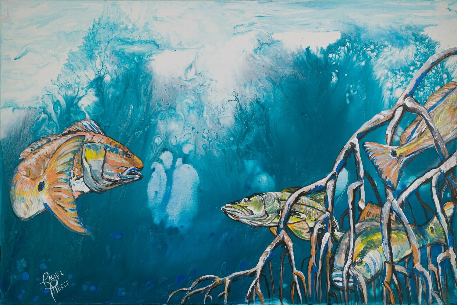 Redfish and Snook in Mangroves