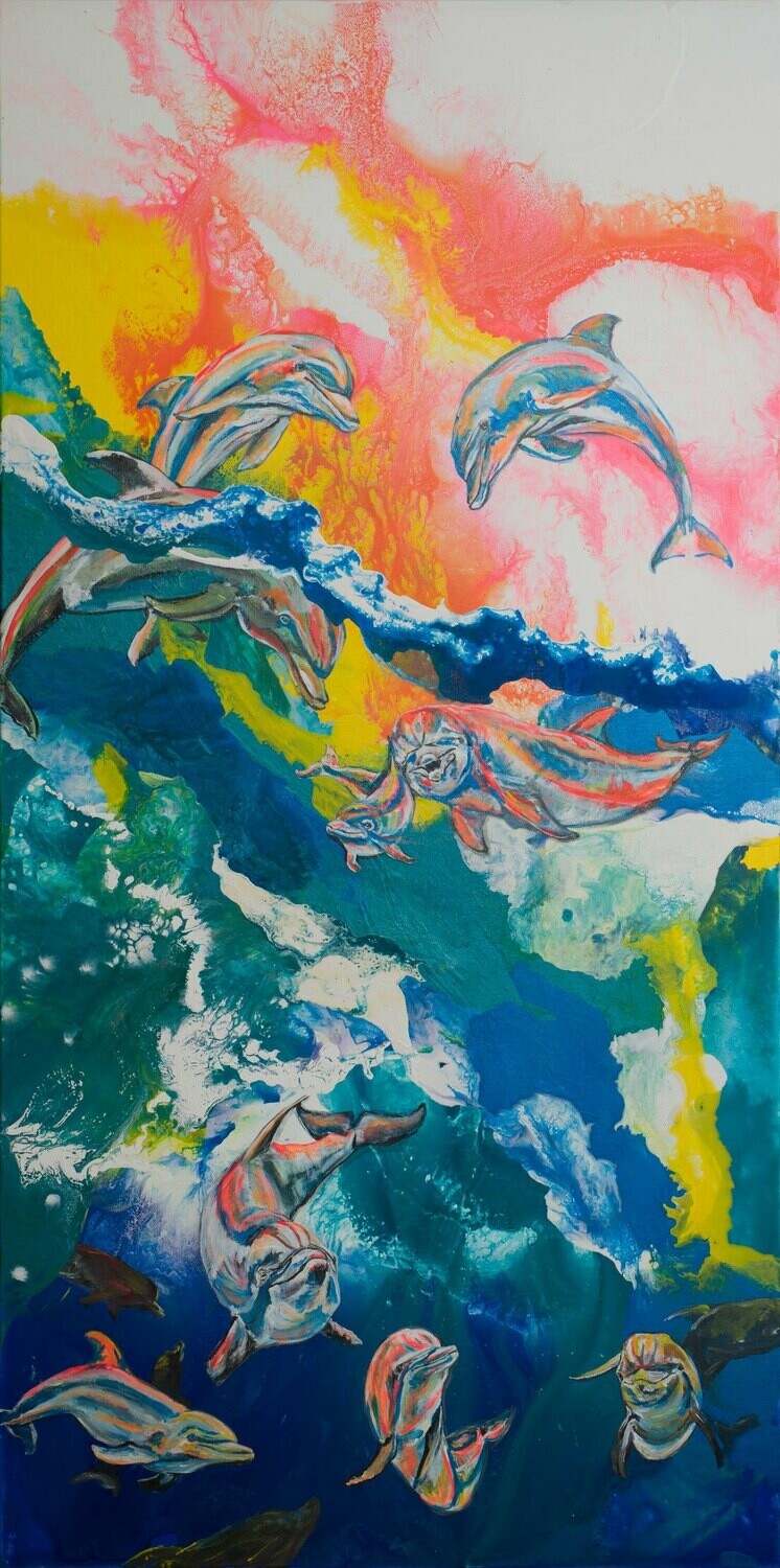 Rainbow Dolphins